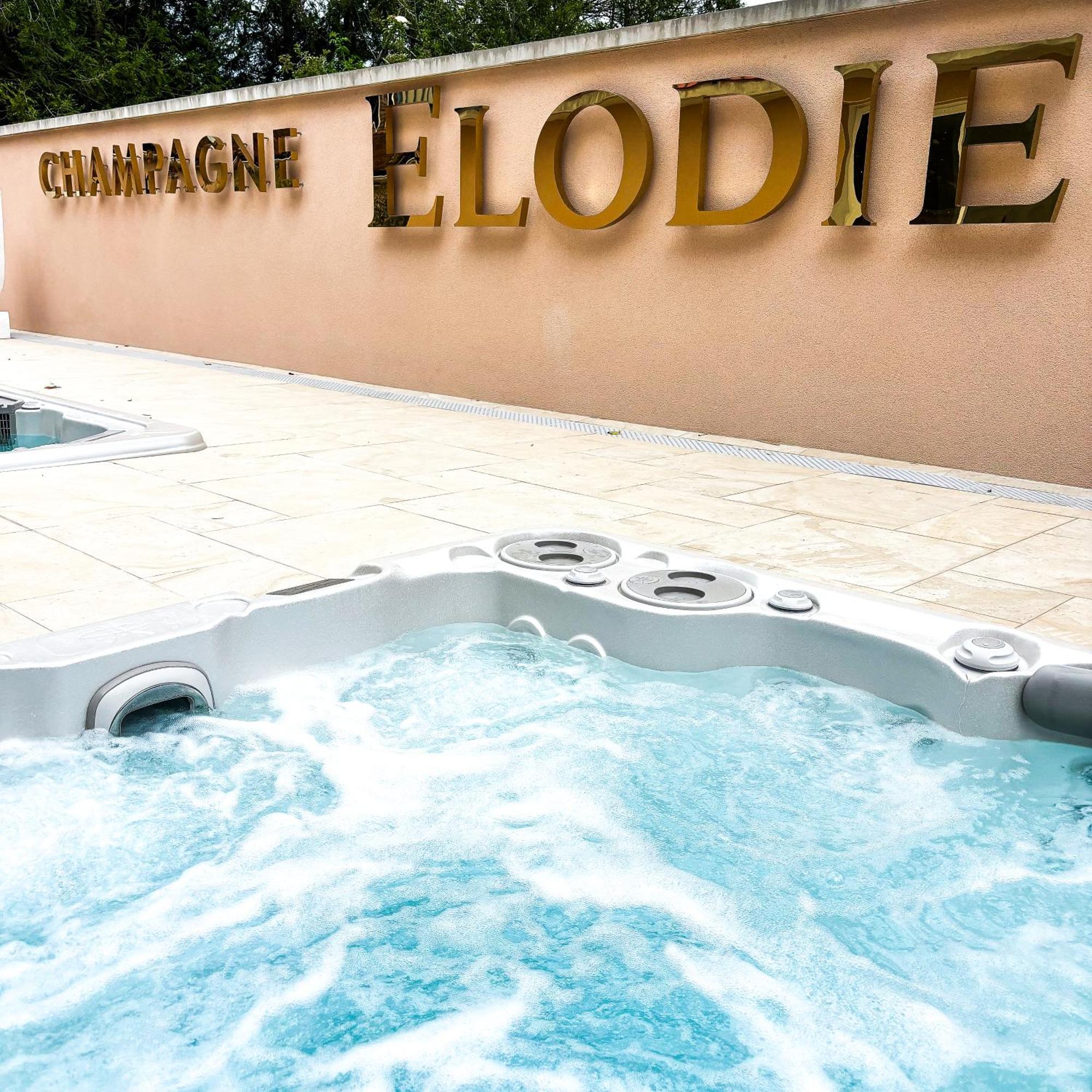 La Demeure D'Elodie Épernay Dış mekan fotoğraf