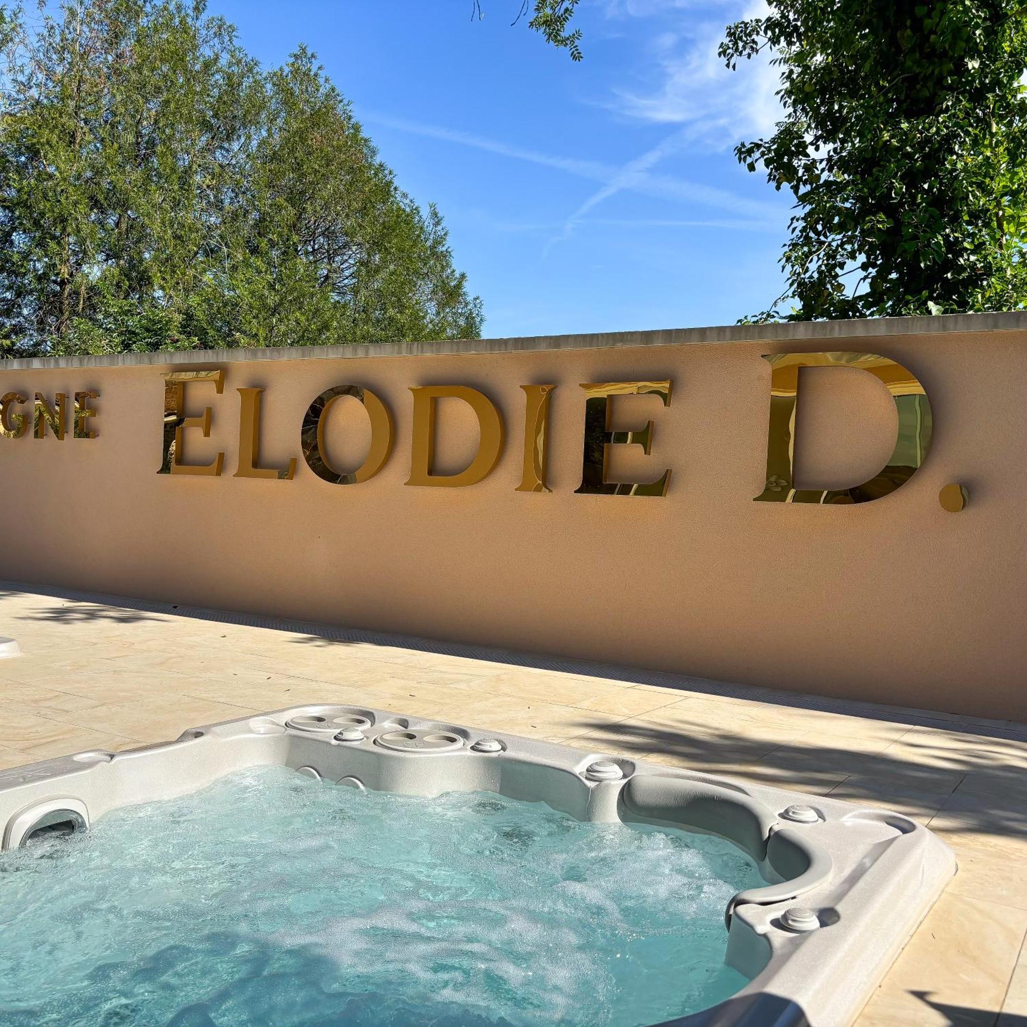 La Demeure D'Elodie Épernay Dış mekan fotoğraf
