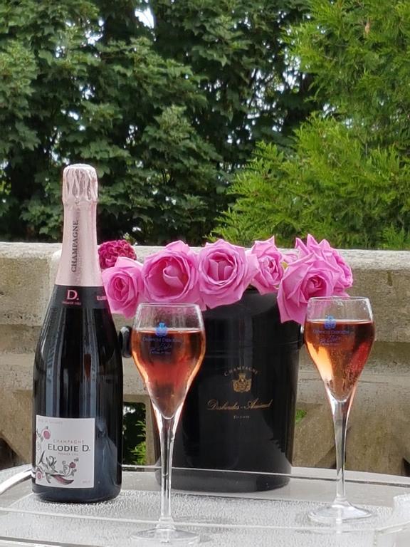La Demeure D'Elodie Épernay Dış mekan fotoğraf